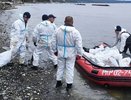 Локальные выбросы мазута ликвидировали на четырех участках побережья под Туапсе, работы продолжаются в Тюменском