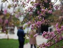 Куда поехать из Краснодара в выходные: 7 живописных локаций в радиусе 2–3 часов