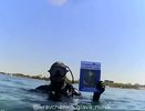 Дайверский «Бессмертный полк» прошёл на дне Чёрного моря у берегов Новороссийска