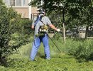 6000 гектаров травы выкосили в Краснодаре — куда сообщить о заросшем участке