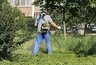 6000 гектаров травы выкосили в Краснодаре — куда сообщить о заросшем участке