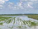 В Крымском районе бросили дополнительные силы на откачку воды: затоплено больше 10 тысяч гектаров