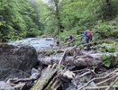 Двое москвичей заблудились в лесу под Сочи — спасатели искали их больше суток