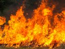 На Черноморском побережье Кубани объявлена высокая пожароопасность