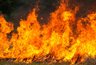 На Черноморском побережье Кубани объявлена высокая пожароопасность