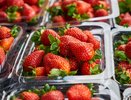 В Краснодаре сегодня открылись четыре ярмарки выходного дня