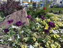 В Новороссийске измерили уровень загрязнения воздуха: данные обнадёживают