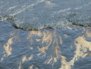Судовладелец из Сьерра-Леоне заплатил 40 миллионов рублей за разлив нефти в порту Новороссийска