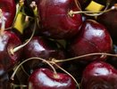 Цены на ягоды рухнут на 50–70% – когда покупать клубнику и черешню дёшево