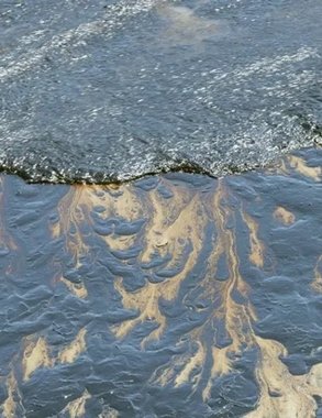 Нефтепродуктов на дне моря в Туапсе не нашли – акватория Центрального пляжа готова к курортному сезону