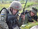 «Сникерс» убивает: украинские боевики прячут мины в шоколадках и бревнах в детских парках