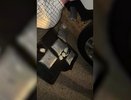 Петербуржец вёз на Кубань 6 килограммов мефедрона в тайнике под днищем иномарки