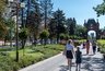 Бесплатная прогулка по Александровскому бульвару пройдёт 7 июля в Краснодаре