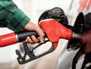 Топливный кризис идёт на спад: эксперт назвала точную дату, когда исчезнут очереди на АЗС