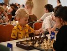500 шахматистов от 5 до 73 лет соревнуются в Краснодаре