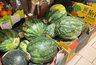 Когда начинается настоящий арбузный сезон и как выбрать самый сладкий