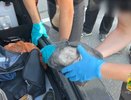 В Славянске-на-Кубани поймали курьера с килограммом наркотиков