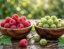 Чем полезны малина и крыжовник и кому их есть категорически нельзя