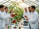 Российские учёные создали защиту для томатов, которая работает лучше химии