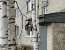 Жильцы получат право контролировать каждый ремонт: новый закон