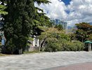 Двое погибших, 350 человек без крова, свет отключён по всему Крыму: что происходит на полуострове 24 июля