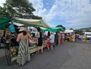 В Новороссийске работают 12 ярмарок: где и когда покупать фермерские продукты