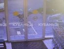 В Геленджике бездомные собаки напали на девятилетнего мальчика у магазина