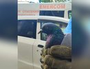 Детский сад и спасатели: в Новороссийске голубя вытаскивали из вентиляционной шахты