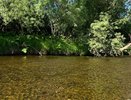Тела двух мужчин найдены в водоёмах Кубани 29 июля