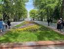 Куда сходить в Краснодаре в выходные: ярмарка ручной работы на Арбате 1 и 2 августа