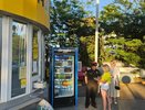 Топливный кризис в Новороссийске: власти ищут выход через волонтёров и электронную очередь