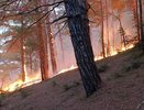Курорт под ударом: атака БПЛА, пожар на пляже и эвакуация в Крыму 10 августа