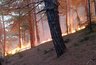 Курорт под ударом: атака БПЛА, пожар на пляже и эвакуация в Крыму 10 августа