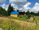 За это дерево — штраф 50 000: проверьте, не растёт ли оно у вас на участке