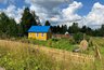 За это дерево — штраф 50 000: проверьте, не растёт ли оно у вас на участке