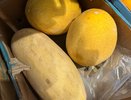 Выбираем спелую дыню: советы эксперта по цвету, сетке и аромату
