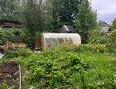 «Готовим сад к зиме»: 6 важных дел на участке в августе — чтобы не потерять урожай в следующем году