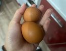 От муравьёв в августе — обязательно: варю 2 яйца — эта «вкусняшка» косит их сотнями