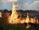 В Краснодарском крае — экстремальная пожароопасность: куда звонить при возгорании