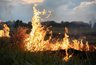 В Краснодарском крае — экстремальная пожароопасность: куда звонить при возгорании
