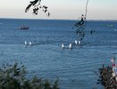 В Анапе второй день запрещены надувные матрасы и катамараны: спасатели предупреждают об опасности