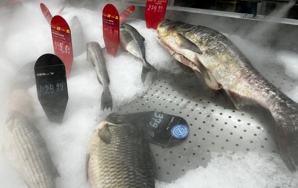 Названы продукты, побеждающие лень и восстанавливающие энергию