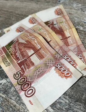 Школьные сборы с господдержкой: какие выплаты положены семьям Новороссийска