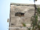 «Дыра в стене на восьмом этаже»: Новороссийск приходит в себя после удара беспилотников — кто оплатит ремонт разрушенной квартиры