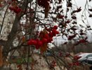 Глянь в окно 25 августа: какая погода будет стоять до самого Нового года