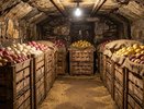 Картошка не гниёт и не прорастает: положите эти листья в погреб — и забудьте о проблемах