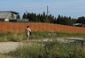 Дачников предупредили о новых штрафах: что изменится с 1 сентября
