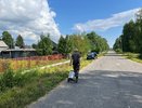 50 000 рублей за дерево: за что теперь штрафуют дачников и как не попасть под санкции