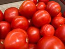 Помидоры за 2 часа, которые исчезают со стола за минуту: необычный маринад с мёдом и соевым соусом