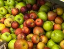 29 августа в Краснодаре заработают 4 ярмарки: фермерская продукция, мёд и хлеб